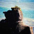 Neuseeland : Pancake Rocks