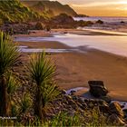 Neuseeland - Punakaiki