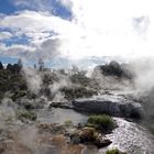 Neuseeland- Rotorua - Thermalgebiet Whakarewarewa