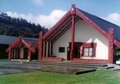 Neuseeland-Roturoa-Waimangu Valley