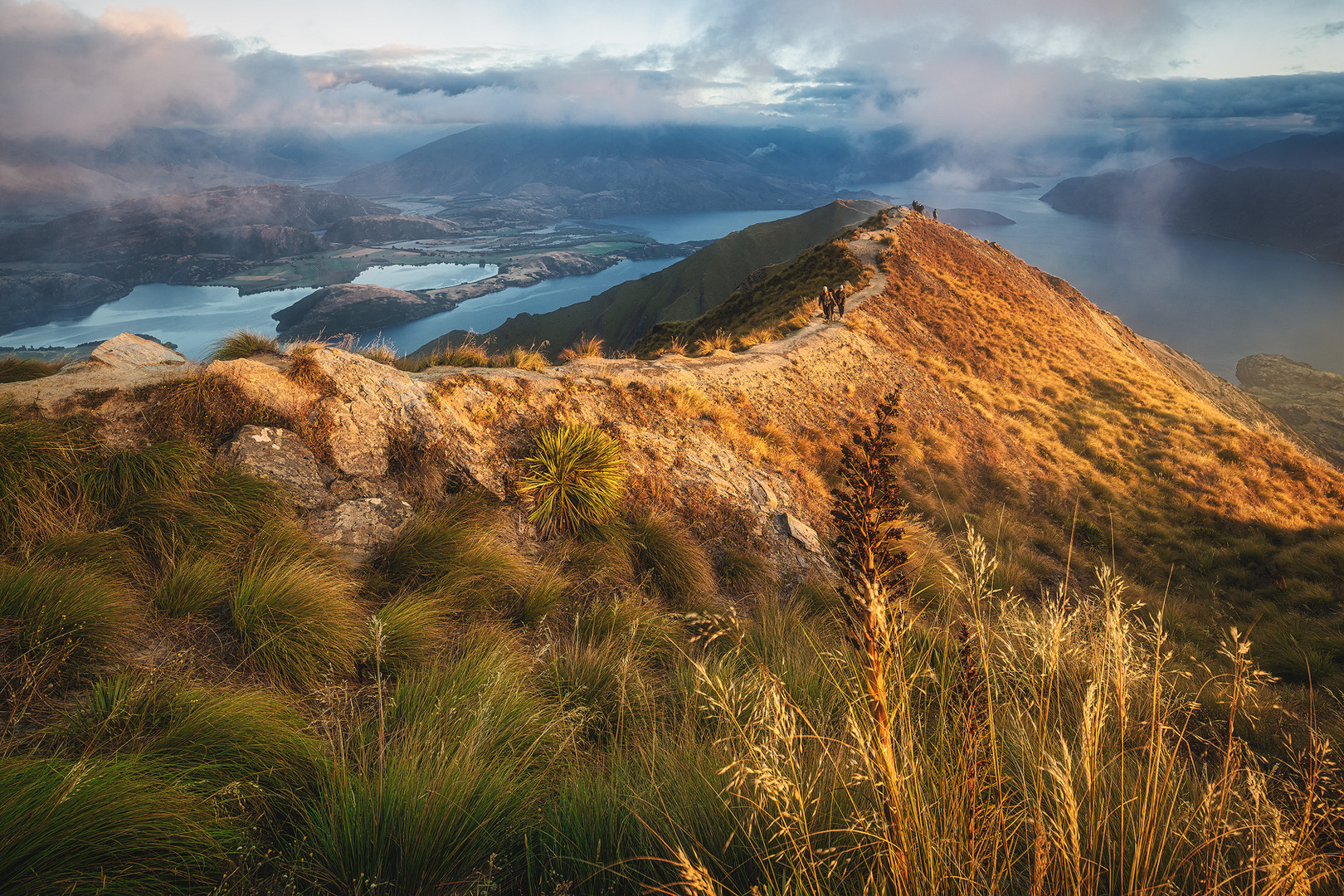 Neuseeland - Roy's Peak 