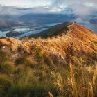 Neuseeland - Roy's Peak 