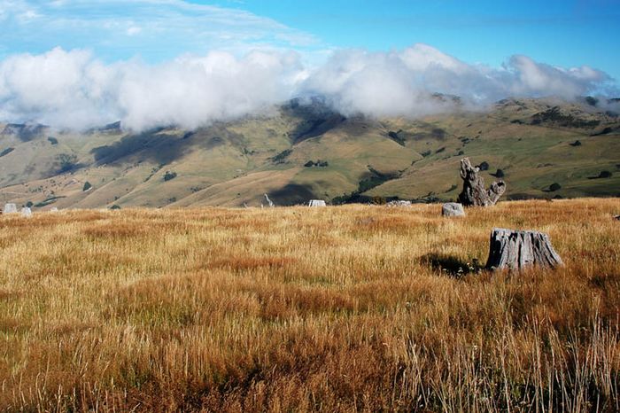 Neuseeland Südinsel 2004