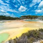 Neuseeland: Wai-O-Tapu Artist's Palette mit dem Champagne Pool