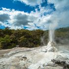 Neuseeland: Wai-O-Tapu Lady Knox Geyser