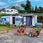 Neuseeland +++ Wohnen am Lake Taupo 