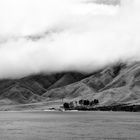 Neuseeland_Marlborough_Sounds_Hackmann_RH__DSC2975