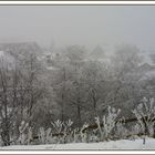 Neuses an den Eichen in Oberfranken