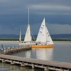 Neusiedler See 1