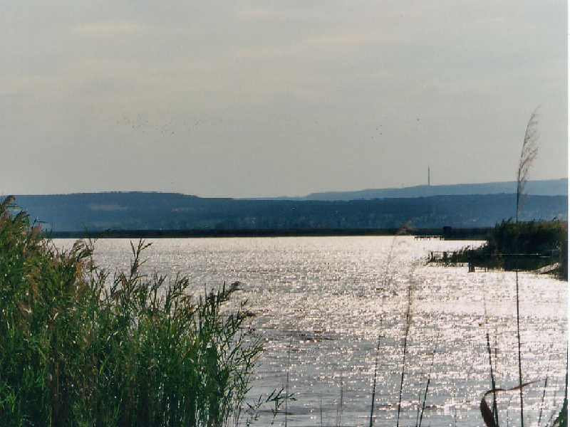 Neusiedler See