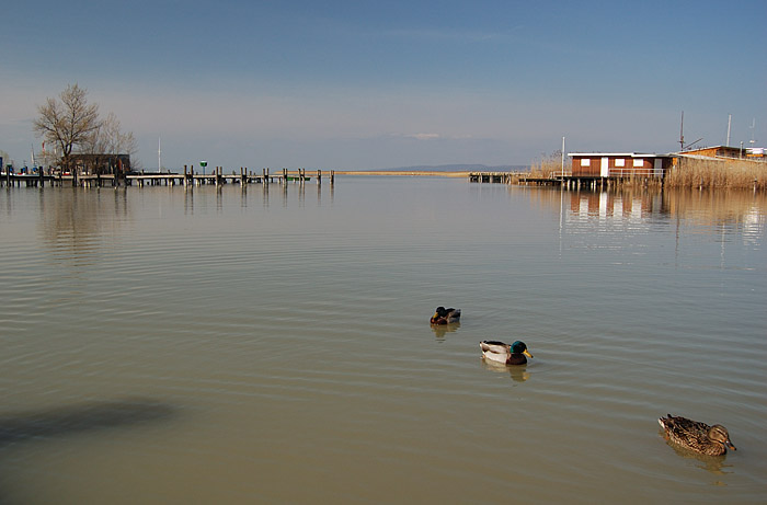 Neusiedler See