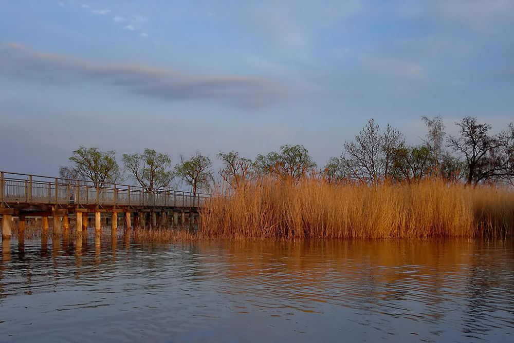 Neusiedler See bei Mörbisch