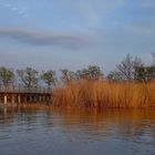 Neusiedler See bei Mörbisch