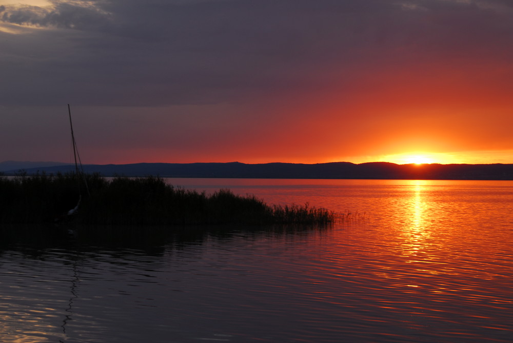 Neusiedler See I