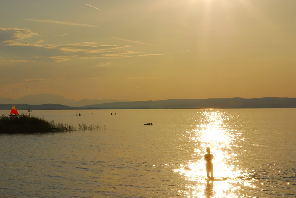 Neusiedler See II