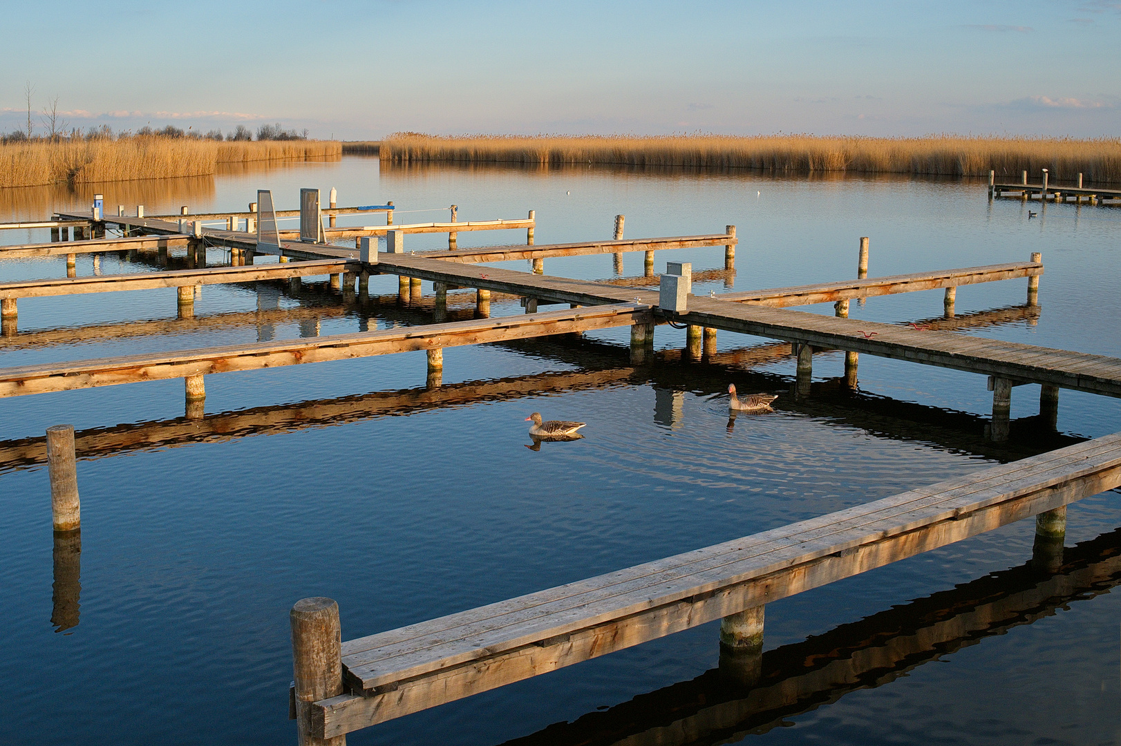 Neusiedler See Morgenstimmung