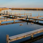 Neusiedler See Morgenstimmung