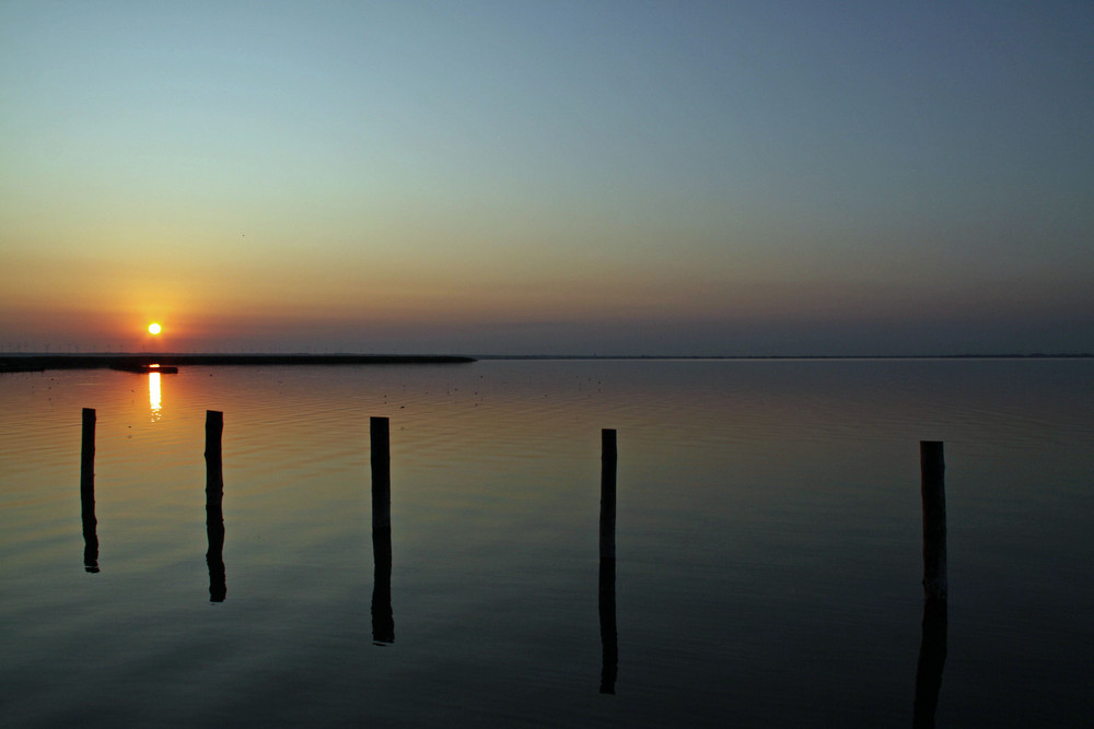 Neusiedler See Sonnenaufgang 2