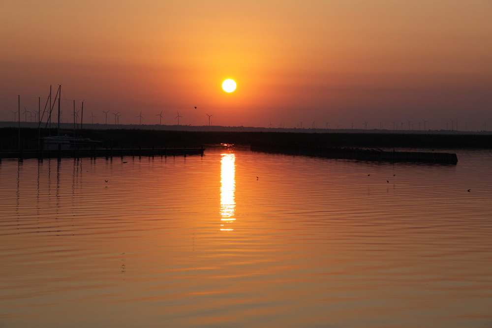 Neusiedler See Sonnenaufgang 3