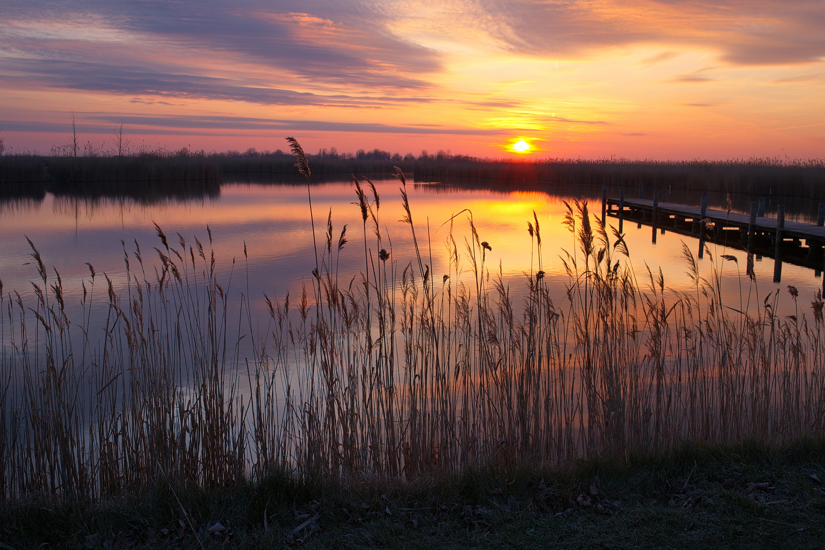 Neusiedler See Sonnenaufgang