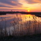 Neusiedler See Sonnenaufgang