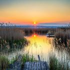 Neusiedler Sonnenuntergang