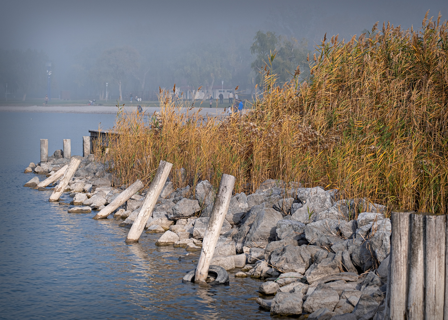 Neusiedlersee