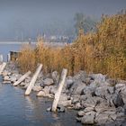 Neusiedlersee