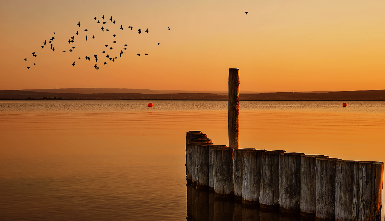 Neusiedlersee