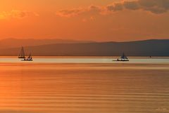 Neusiedlersee