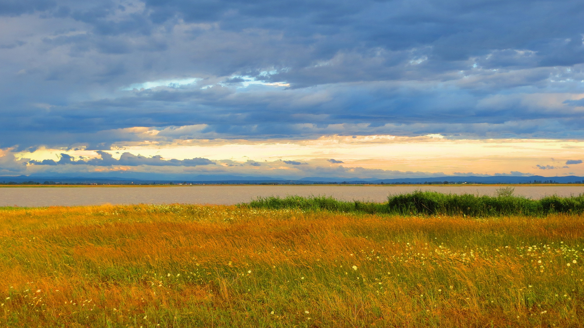 Neusiedlersee