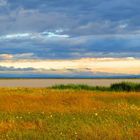 Neusiedlersee