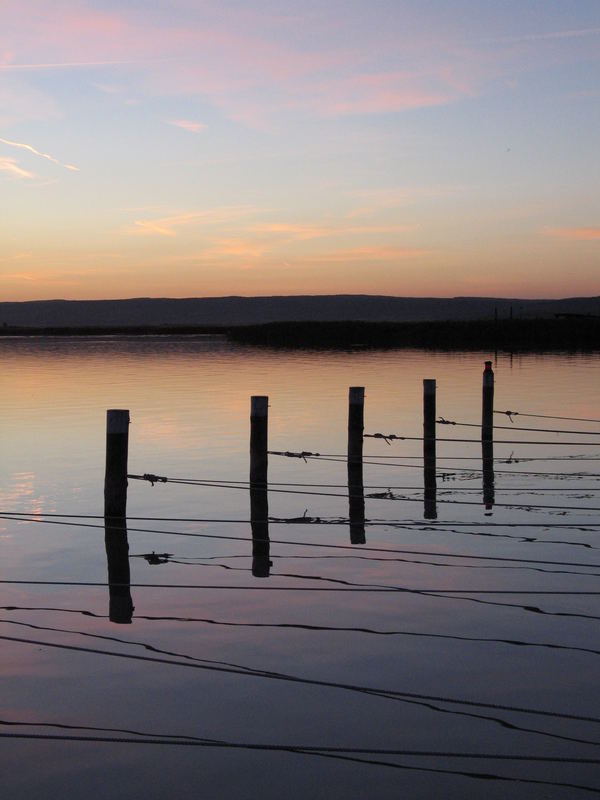 Neusiedlersee