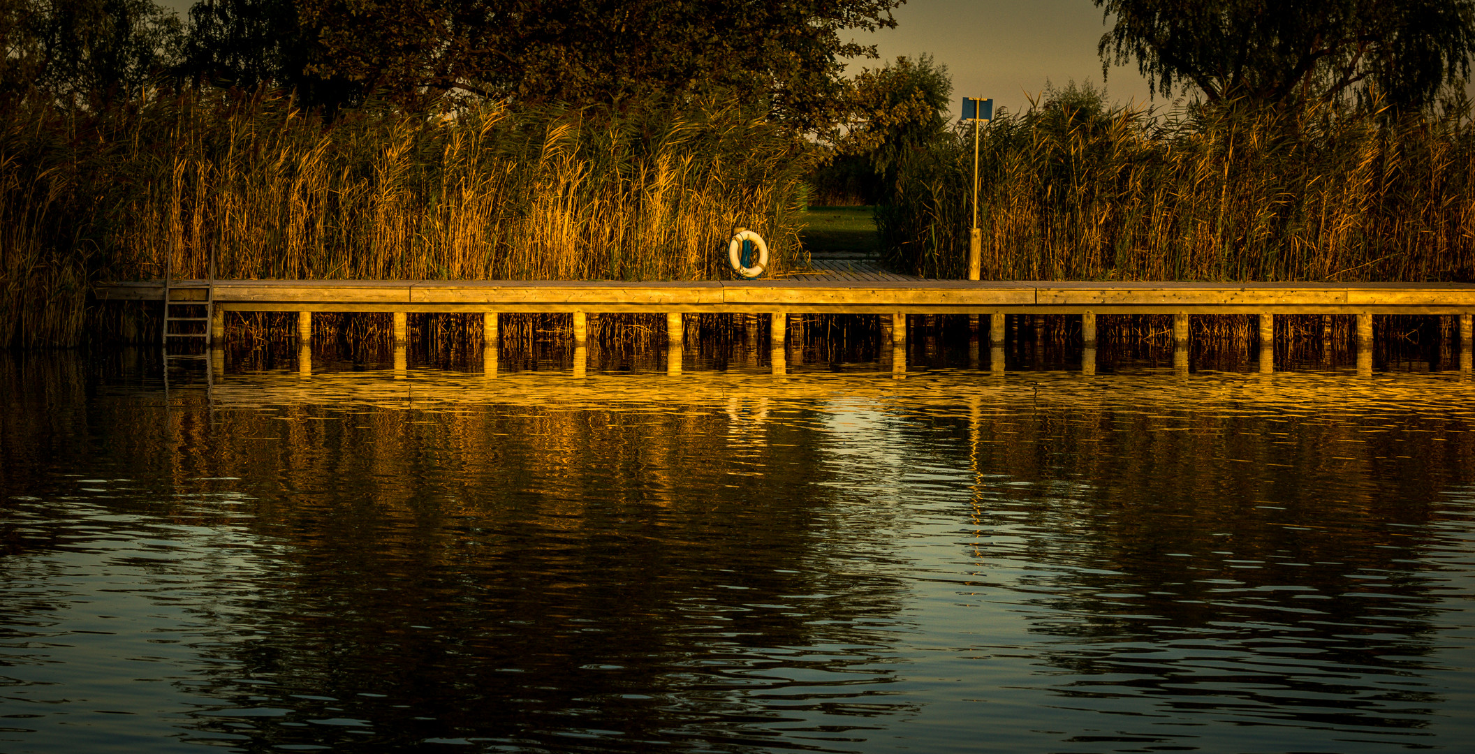 Neusiedlersee / 7