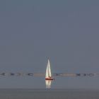 Neusiedlersee