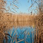 Neusiedlersee