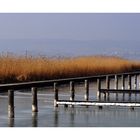 Neusiedlersee