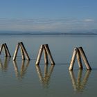 Neusiedler_See