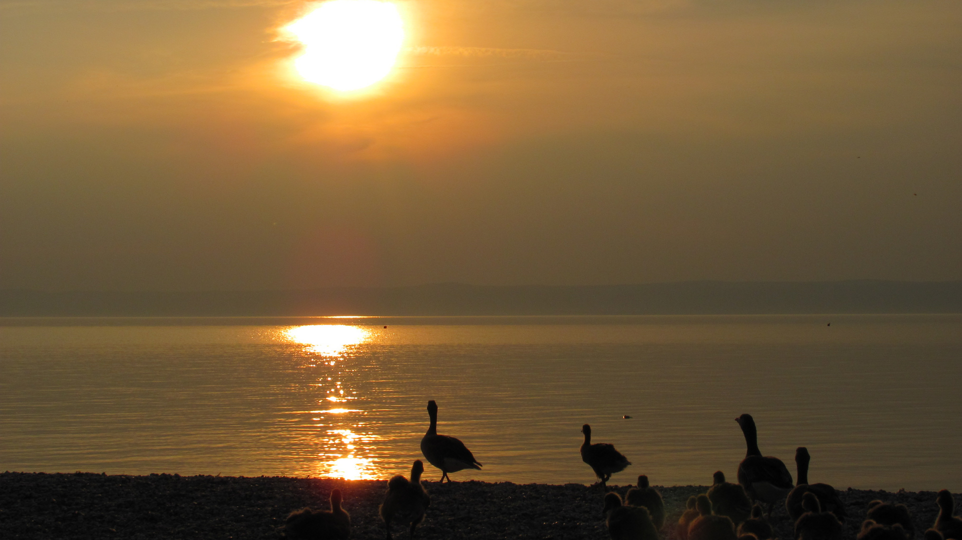 Neusiedlersee