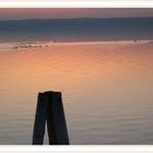 ... neusiedlersee ...