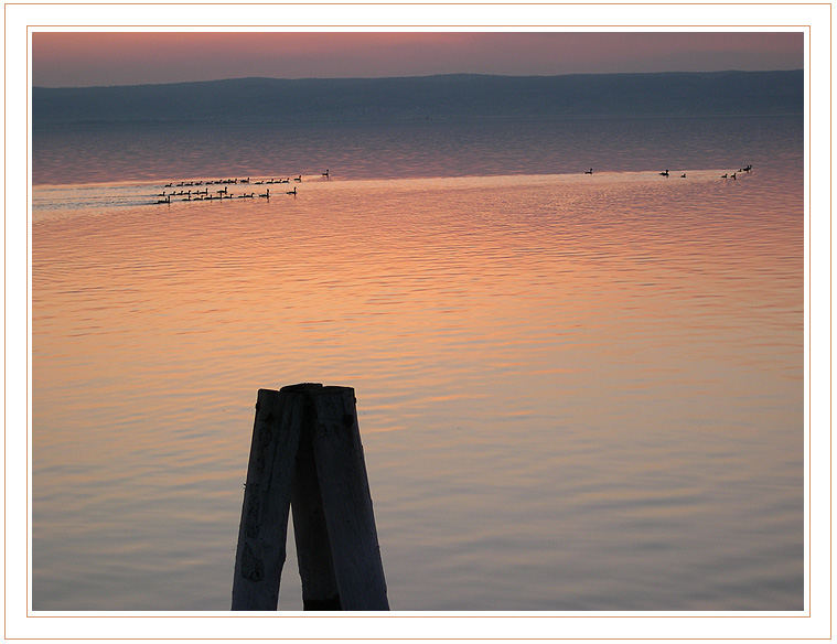 ... neusiedlersee ...