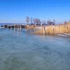 Neusiedlersee im Eis 1