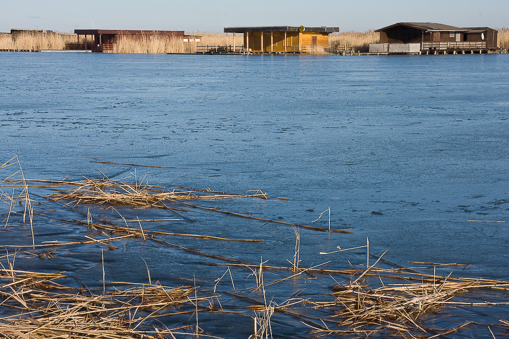 Neusiedlersee im Eis mit hohem Horizont