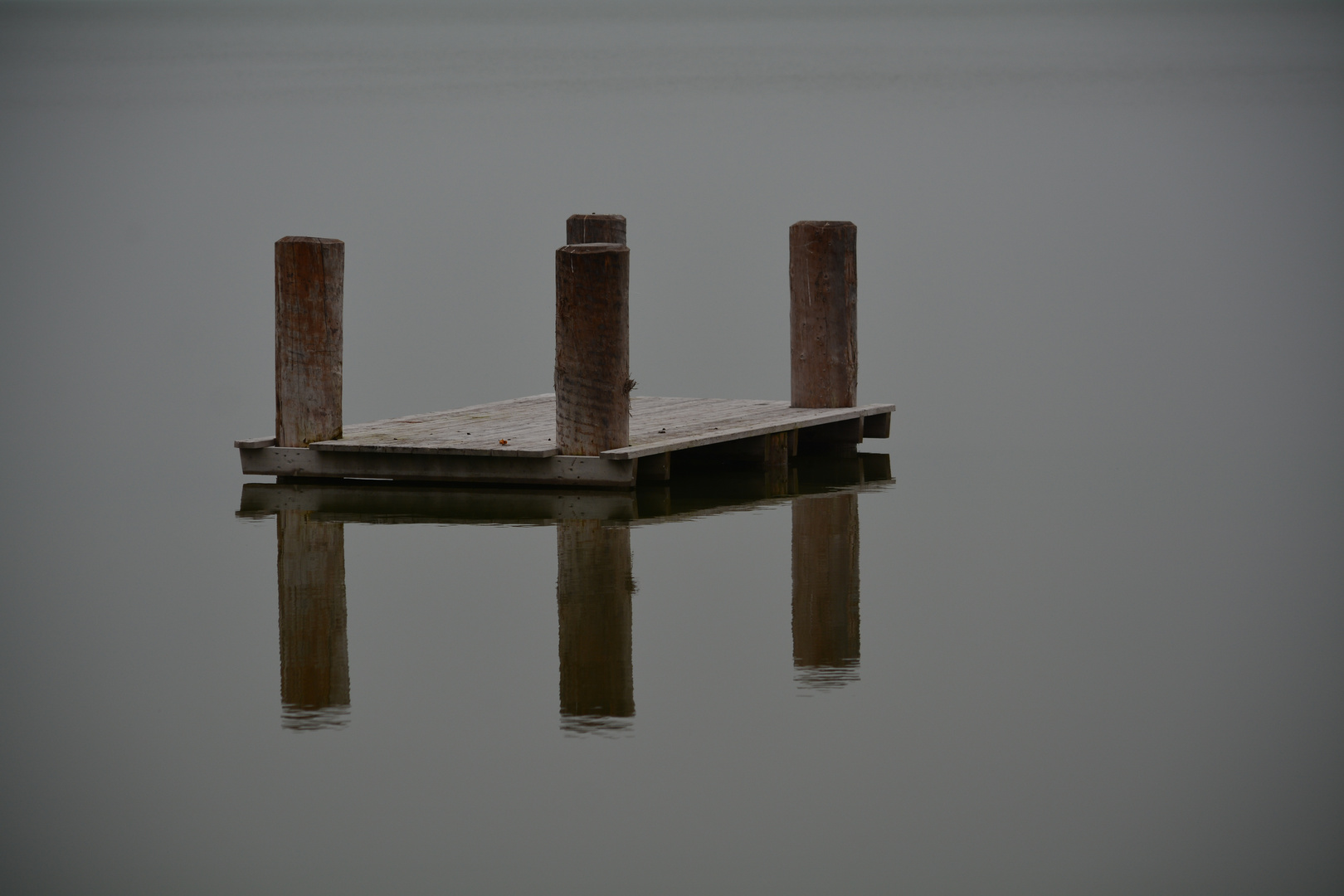 Neusiedlersee im morgentlichen Nebel mit Steg