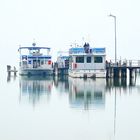 NEUSIEDLERSEE IM NEBEL