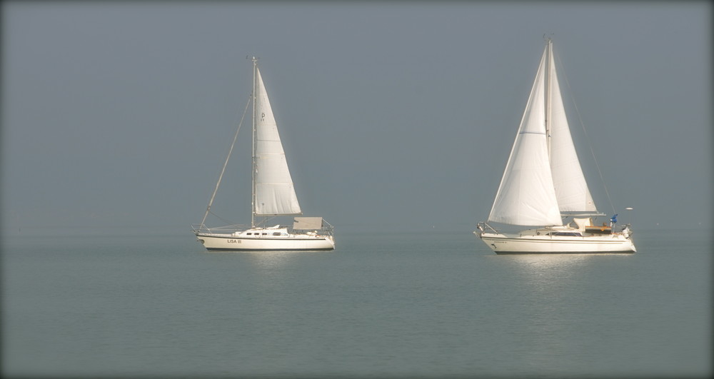 Neusiedlersee im September