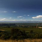 Neusiedlersee Rust