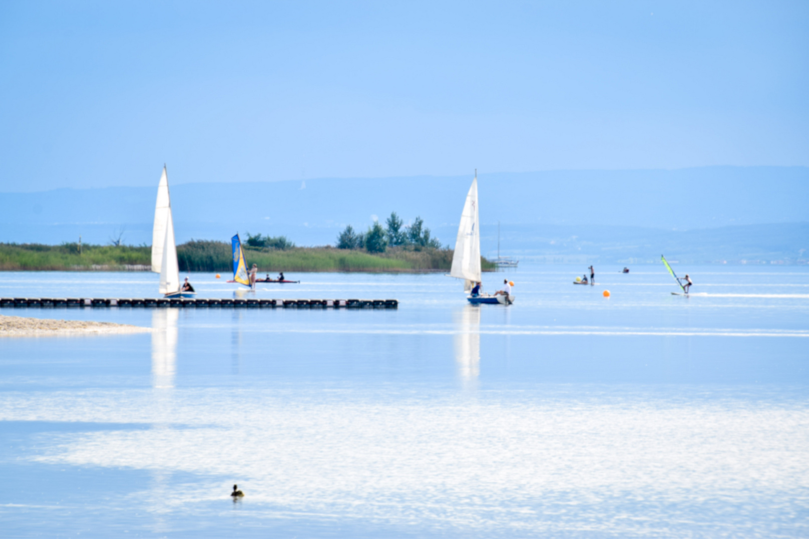 Neusiedlersee segler 3