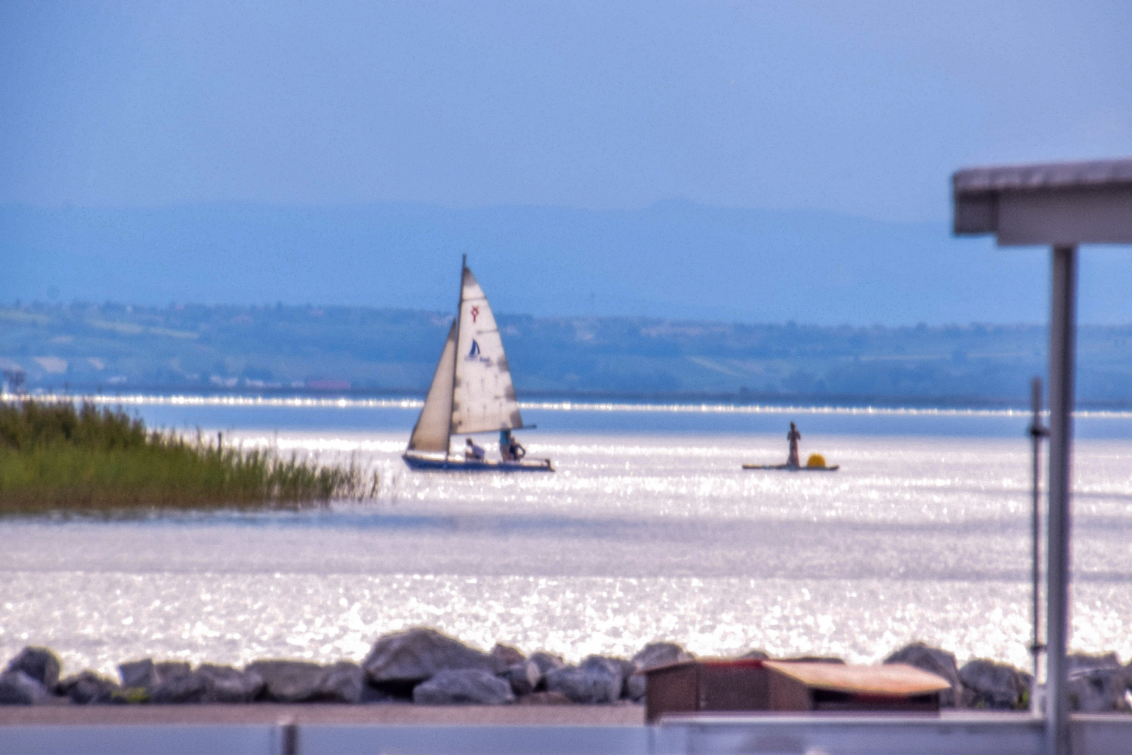 Neusiedlersee segler 4