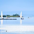 Neusiedlersee segler